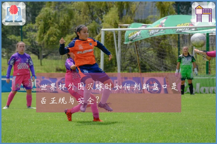 世界杯外围买球时如何判断盘口是否正规与安全？