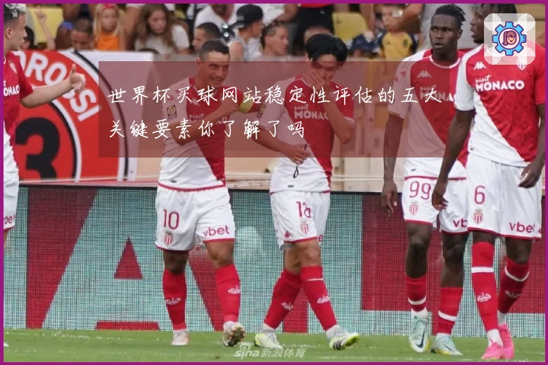 世界杯买球网站稳定性评估的五大关键要素你了解了吗