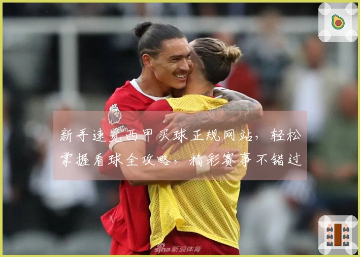 新手速览西甲买球正规网站，轻松掌握看球全攻略，精彩赛事不错过