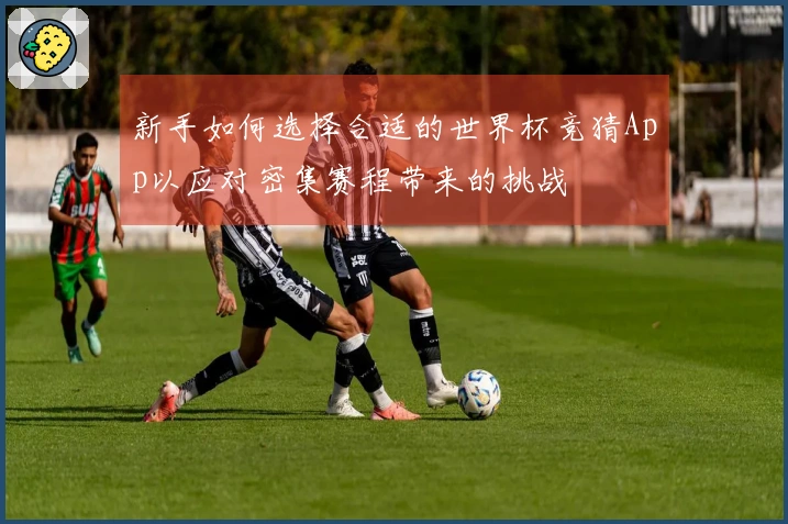 新手如何选择合适的世界杯竞猜App以应对密集赛程带来的挑战