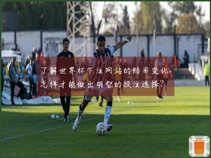 了解世界杯下注网站的赔率变化,怎样才能做出明智的投注选择?