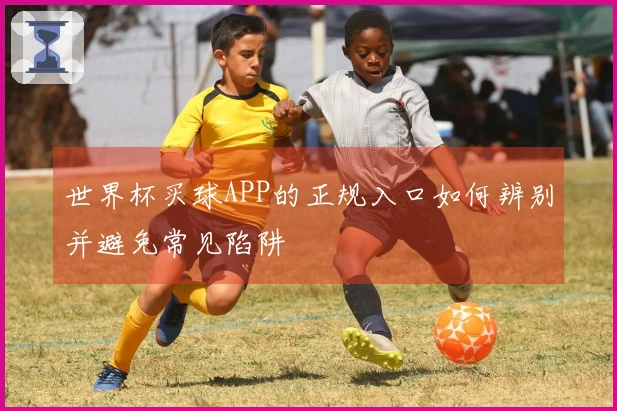 世界杯买球APP的正规入口如何辨别并避免常见陷阱