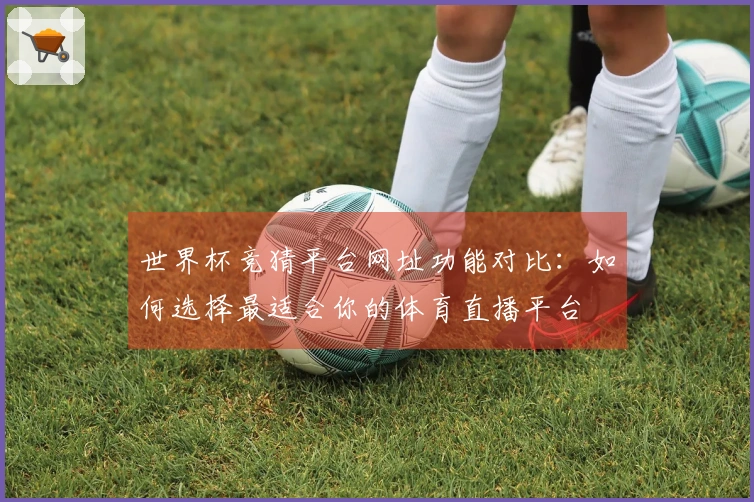 世界杯竞猜平台网址功能对比:如何选择最适合你的体育直播平台