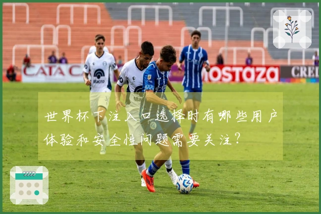世界杯下注入口选择时有哪些用户体验和安全性问题需要关注?