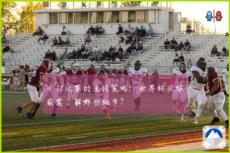 冷门比赛的竞猜策略：世界杯买球前需了解哪些细节？