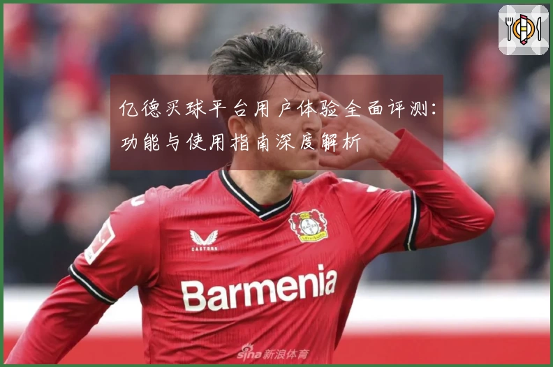 亿德买球平台用户体验全面评测：功能与使用指南深度解析