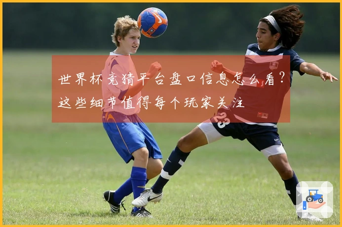 世界杯竞猜平台盘口信息怎么看？这些细节值得每个玩家关注