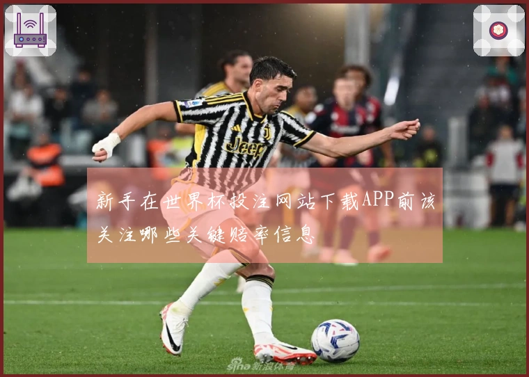 新手在世界杯投注网站下载APP前该关注哪些关键赔率信息